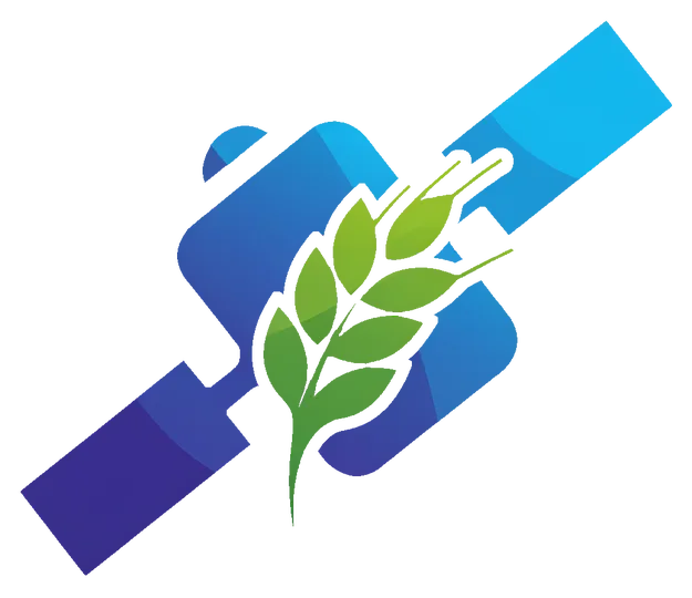 Satellite Crop Yield and Health Estimation